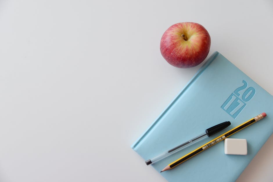  Schule-beginnt-nach-Sommerferien