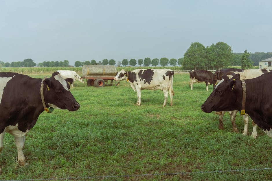 Schleswig-Holstein-Schullandschaft nach Wiedereröffnung