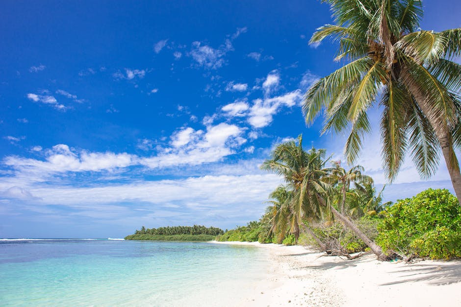  Anzahl der Schulen in Island