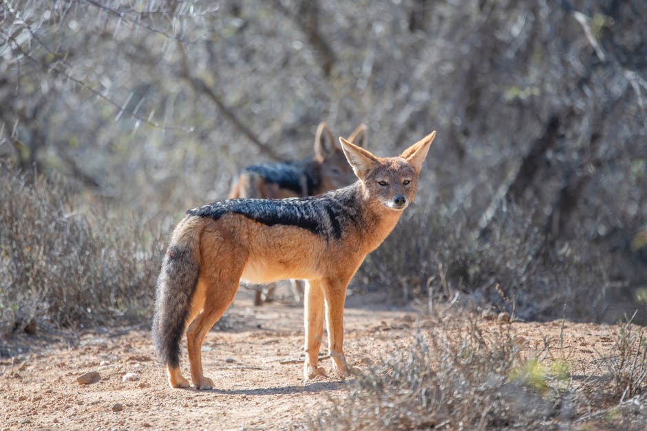  Schule der Magischen Tiere Drehort