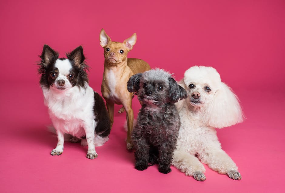  Drehort Schule der magischen Tiere TEIL 2